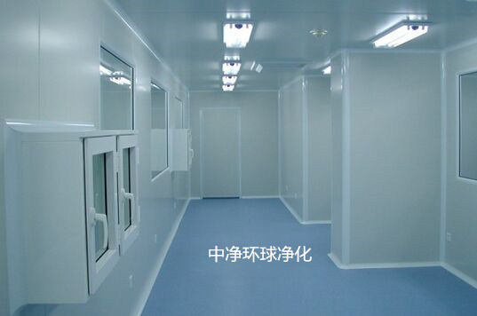 潔凈室廠房機房設備、管道布置設計